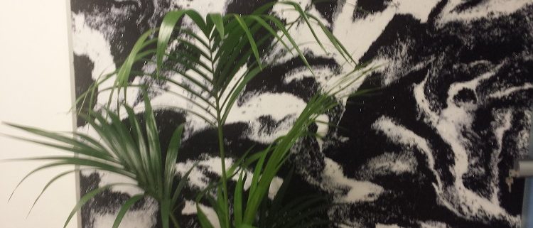 t-shirt creativewall drago